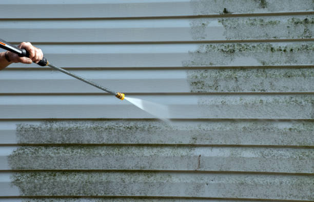 Best Commercial Mold Removal  in El Valle De Arroyo Seco, NM