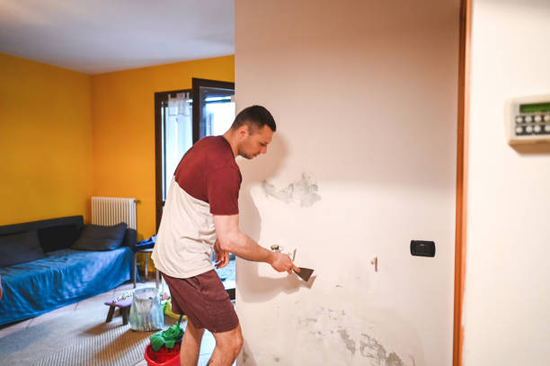 Best Toxic Mold Removal  in El Valle De Arroyo Seco, NM
